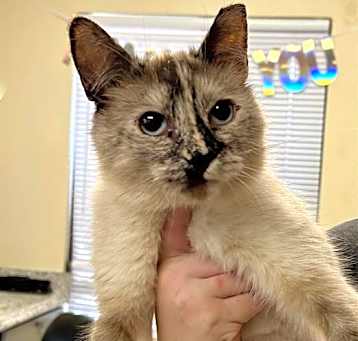 Photo of ISABELL