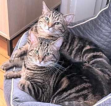 Photo of Max and Toby