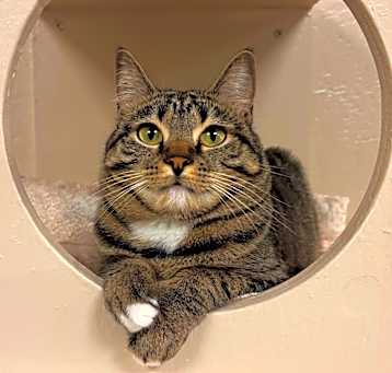 Photo of Munchie