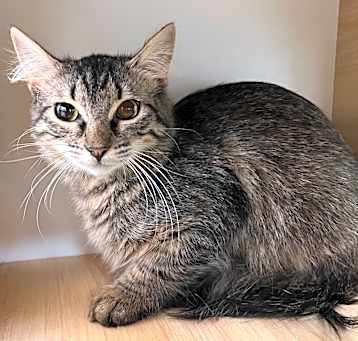 Photo of Vanjie Cateo