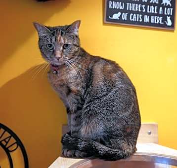 Photo of Juliette