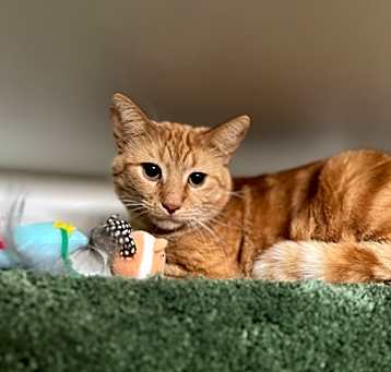 Photo of Diego