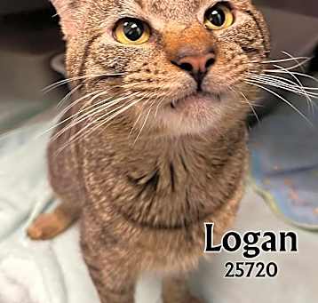 Photo of Logan