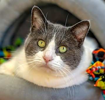 Photo of Mitzy Marbles