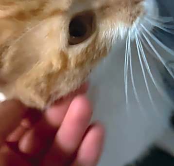 Photo of Spice