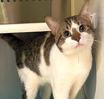 Photo of Denny