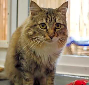 Photo of Wanheda