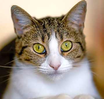 Photo of Leona