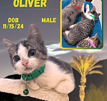 Photo of Oliver
