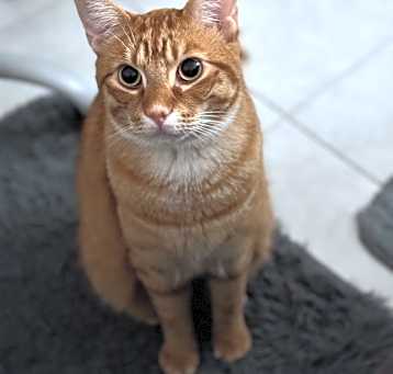 Photo of Jay