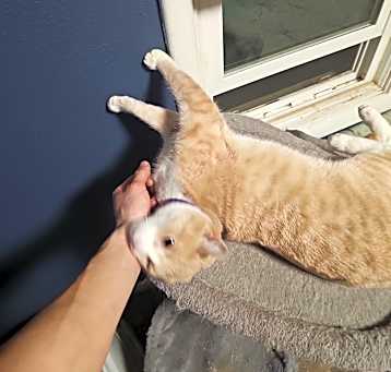 Photo of Jinx