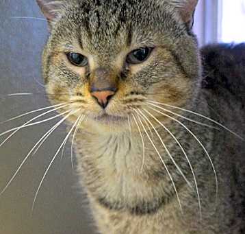 Photo of Beaker