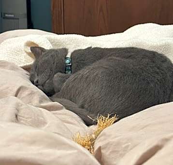 Photo of Winston