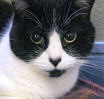Photo of Sabrina