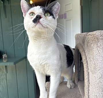 Photo of Mooshu