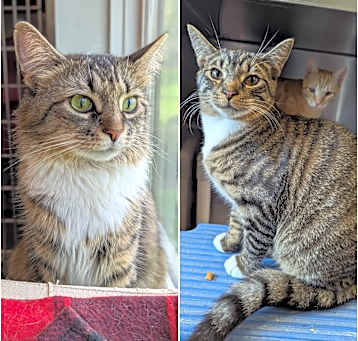 Photo of Valentine & Cupid