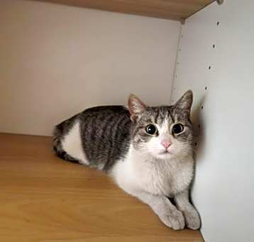 Photo of Margarita
