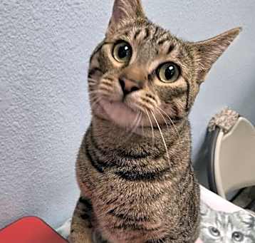 Photo of Princess