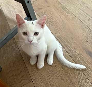 Photo of Ludes