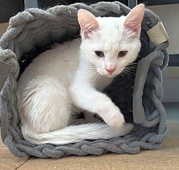 Photo of Sal