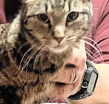 Photo of Angry Face
