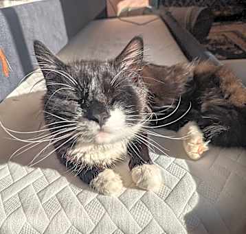 Photo of Jack