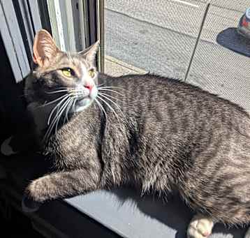 Photo of Buddy