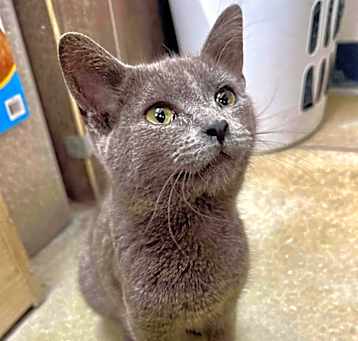 Photo of Storm