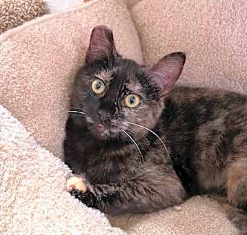 Photo of Malina