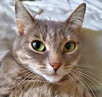 Photo of Mama