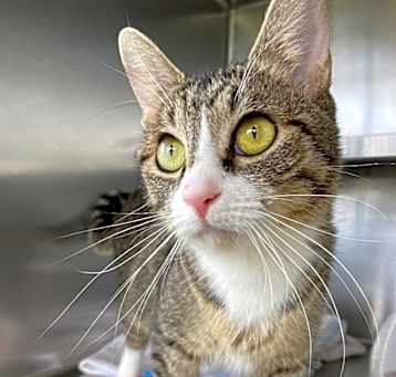 Photo of Tammy