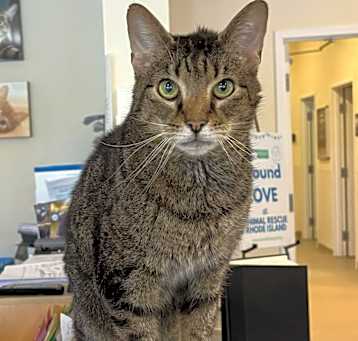 Photo of Tiggy