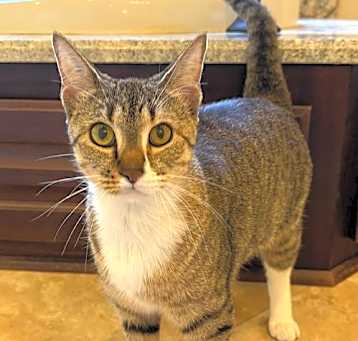 Photo of Lucy Sue