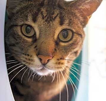 Photo of Edith