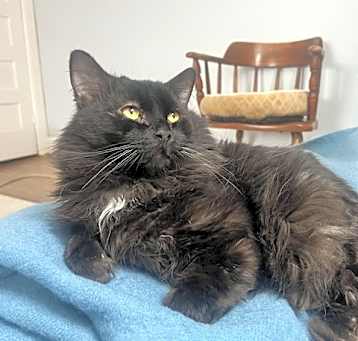 Photo of Clyde