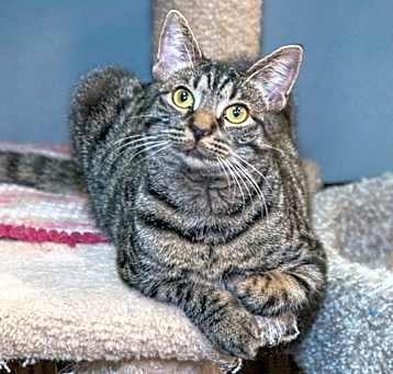 Photo of Roxy