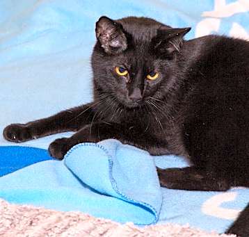 Photo of Georgie