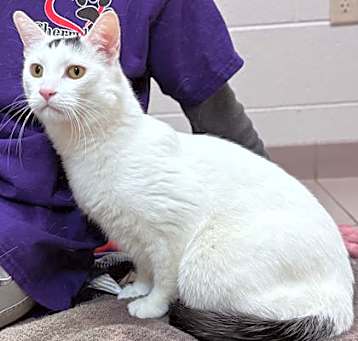 Photo of Sparky
