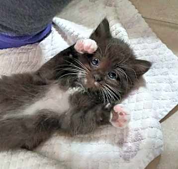 Photo of Fuzzy