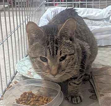 Photo of Captain Jack
