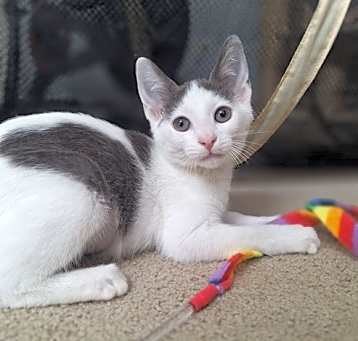 Photo of Maisie Moon