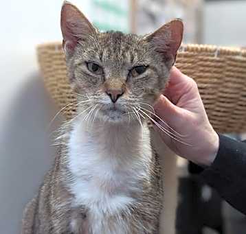Photo of Lazarus