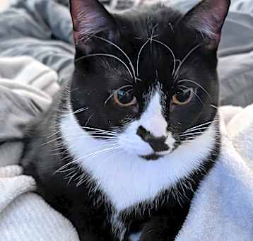 Photo of Jet
