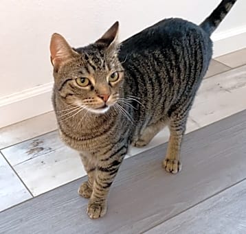 Photo of Georgie