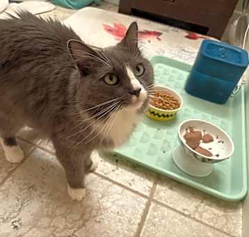Photo of Luna