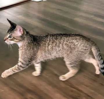 Photo of Little Boy