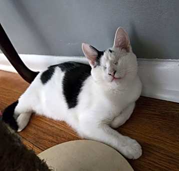 Photo of Tilly