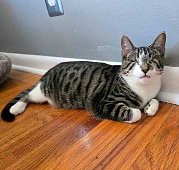 Photo of Willie