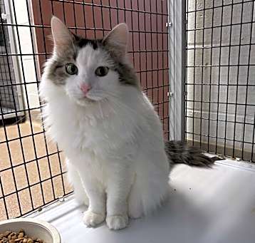 Photo of Elsa
