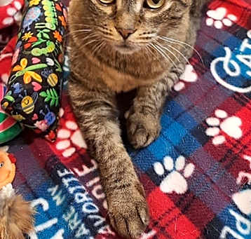 Photo of Betty